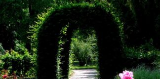 Der Grugapark in Essen bietet reichlich Natur mitten in der Großstadt. Foto: pixabay