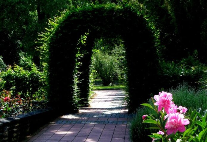 Der Grugapark in Essen bietet reichlich Natur mitten in der Großstadt. Foto: pixabay
