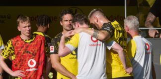 Nach nur wenigen Minuten im Spiel musste Niklas Süle gestützt vom Platz. 