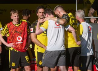 Nach nur wenigen Minuten im Spiel musste Niklas Süle gestützt vom Platz. 