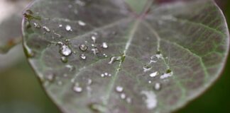 Wenig sommerliches Wetter in NRW. (Archivbild)