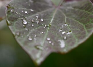 Wenig sommerliches Wetter in NRW. (Archivbild)