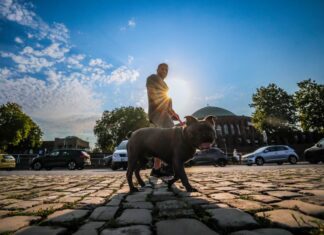 Zur Wochenmitte sollen in NRW bis zu 37 Grad möglich sein.