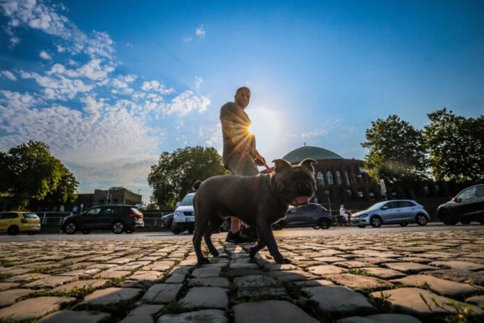 Zur Wochenmitte sollen in NRW bis zu 37 Grad möglich sein.