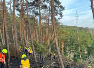 Die Feuerwehrleute müssen die Glut bekämpfen, die sich tief in den Waldboden gefressen hat.