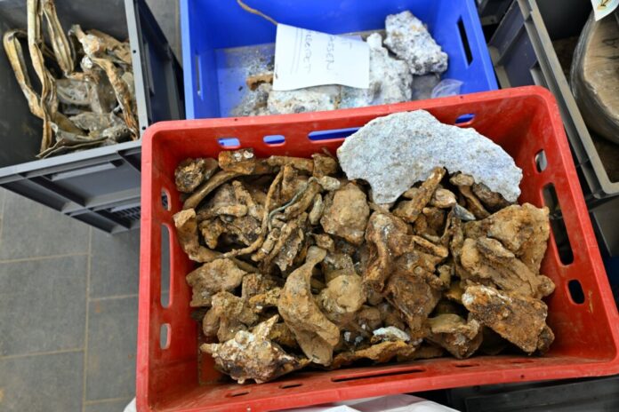 Am Rand des Tagebaus Hambach im Rheinischen Braunkohle-Revier haben Archäologen die Trümmer eines 1943 im Zweiten Weltkrieg abgestürzten britischen Militärflugzeugs geborgen.