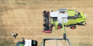 Die Landwirte in Nordrhein-Westfalen ziehen eine zufriedene Erntebilanz. Allerdings nur bei der Menge, nicht bei den Preisen. (Archivbild)