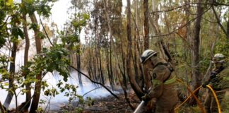 In Portugal gibt es eine leichte Entspannung bei den schweren Waldbränden. Noch aber sind rund 1.400 Feuerwehrleute im Einsatz.