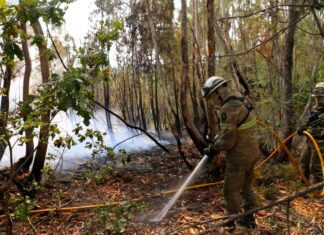 In Portugal gibt es eine leichte Entspannung bei den schweren Waldbränden. Noch aber sind rund 1.400 Feuerwehrleute im Einsatz.
