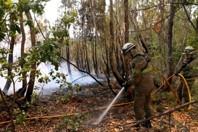 In Portugal gibt es eine leichte Entspannung bei den schweren Waldbränden. Noch aber sind rund 1.400 Feuerwehrleute im Einsatz.