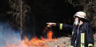 Brennendes Waldstück bei Gummersbach im April. Vor allem das trockene Frühjahr hat zu mehreren kleinen Waldbränden geführt.