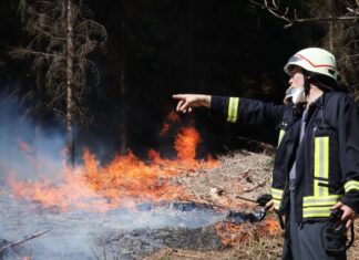 Brennendes Waldstück bei Gummersbach im April. Vor allem das trockene Frühjahr hat zu mehreren kleinen Waldbränden geführt.
