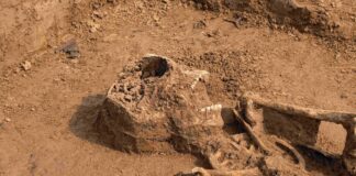 Neben den Skeletten junger Männer zwischen 20 und 30 Jahren seien auch mehrere Musketenkugeln und Uniformknöpfe gefunden worden.