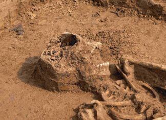 Neben den Skeletten junger Männer zwischen 20 und 30 Jahren seien auch mehrere Musketenkugeln und Uniformknöpfe gefunden worden.
