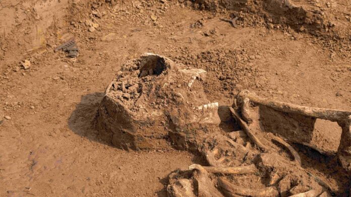 Neben den Skeletten junger Männer zwischen 20 und 30 Jahren seien auch mehrere Musketenkugeln und Uniformknöpfe gefunden worden.
