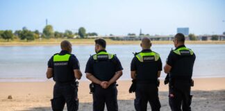Rhein-Schwimmer droht Bußgeld von 1.000 Euro. (Archivbild)