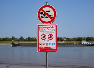 Nach einer Häufung tödlicher Badeunfälle im Rhein erlassen immer mehr Städte Badeverbote für den Fluss.
