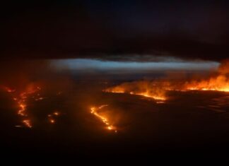 Deutsche Feuerwehrleute aus Nordrhein-Westfalen und Niedersachsen werden voraussichtlich in der Extremadura bei der Waldbrandbekämpfung helfen. 