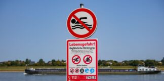 Nach einer Häufung tödlicher Badeunfälle im Rhein erlassen immer mehr Städte Badeverbote für den Fluss. (Archivfoto)