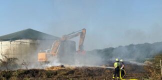 Die Feuerwehr war am Mittwochabend alarmiert worden.