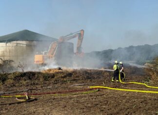 Die Feuerwehr war am Mittwochabend alarmiert worden.