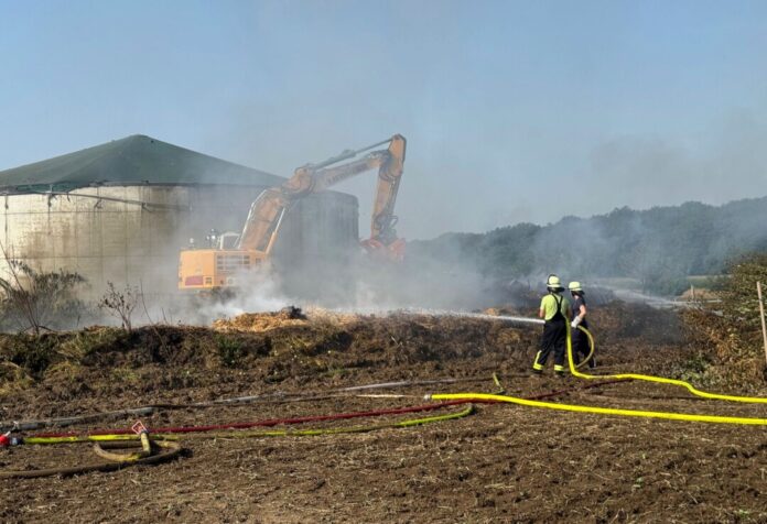 Die Feuerwehr war am Mittwochabend alarmiert worden.