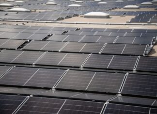 Das Tempo beim Solarausbau in NRW hat etwas nachgelassen: Von Januar bis Juni wurden in NRW 20 Prozent weniger neue Anlagen installiert als im Vorjahreszeitraum. (Symbolbild)