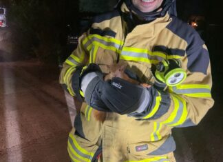 Ein Feuerwehrmann hält ein gerettetes Eichhörnchen in den Händen. Das Tier war in einem Dach steckengeblieben.  