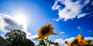 Nach Regen und einzelnen Gewittern strahlt am Wochenende noch einmal die Sonne für die Menschen in NRW - in der Nacht wird es aber teilweise schon sehr kühl. (Archivbild)