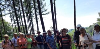 Die Wanderfreunde aus Velbert suchen Nachwuchs - gern auch jüngeren Aktive, die mit auf Tour gehen. Foto: privat