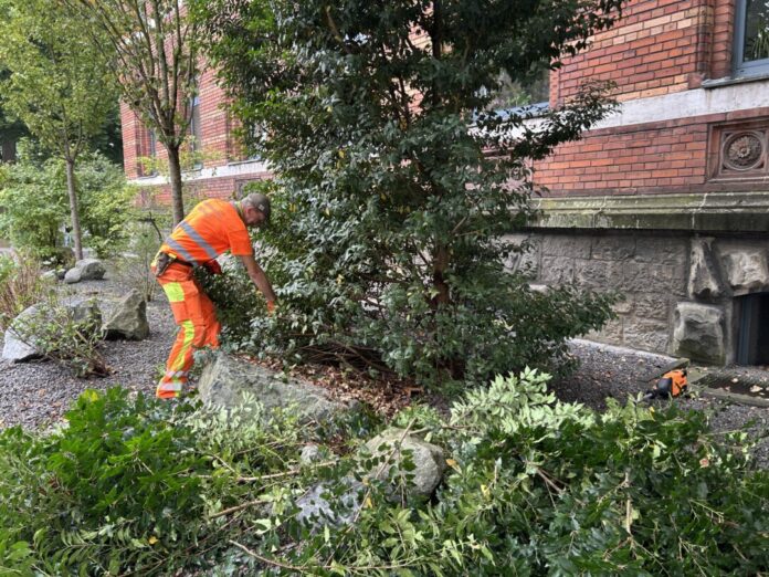 Vorbereitende Arbeiten laufen bereits. Foto: Kreisstadt Mettmann