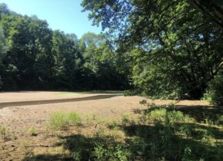 Der Wasserverband arbeitet am Goldberget Teich. Foto: BRW