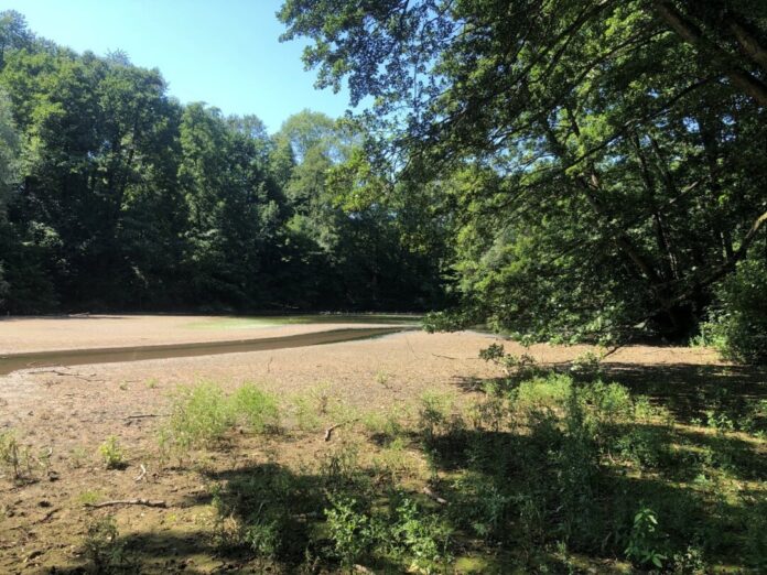 Der Wasserverband arbeitet am Goldberget Teich. Foto: BRW