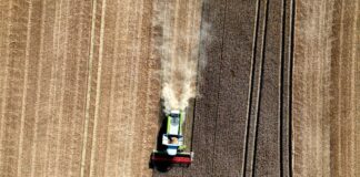 Das Sommerwetter sicherte den Landwirten im Juli eine trockene Einfuhr des Getreides. (Archivbild)