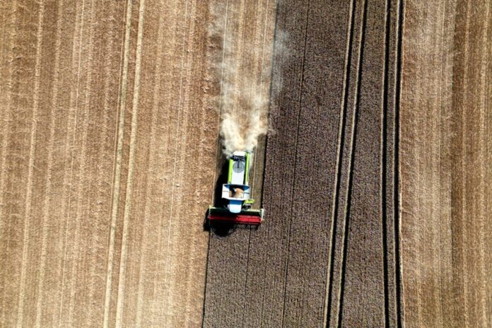 Das Sommerwetter sicherte den Landwirten im Juli eine trockene Einfuhr des Getreides. (Archivbild)