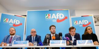 Die AfD verfügt laut einem Politikwissenschaftler über wenig kommunalpolitische Kompetenz 
