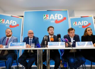 Die AfD verfügt laut einem Politikwissenschaftler über wenig kommunalpolitische Kompetenz 
