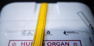In NRW lag die Zahl der Organspender zuletzt im unteren dreistelligen Bereich (Archivbild)
