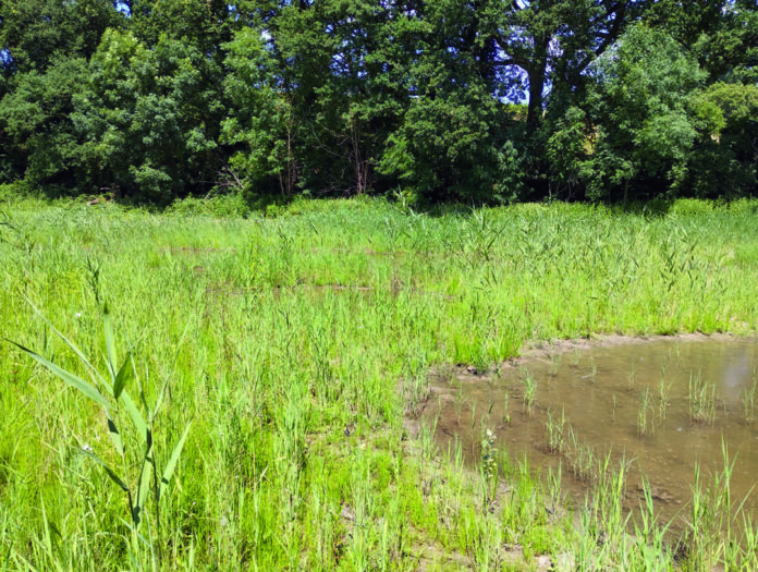 Der BRW betreibt in Erkrath eine Deponie zur Lagerung von Klärschlämmen, die sich in der Nachsorge- bzw. Stilllegungsphase befindet. Foto: BRW