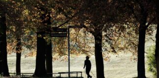 Der Spätsommer ist in seinen letzten Zügen, der Herbst klopft an.