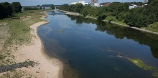 Eine naturnahe Auen-Landschaft und ein verlässlicher Hochwasserschutz sollen an der Lippe entstehen. (Archivbild)