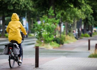 Der Deutsche Wetterdienst (DWD) erwartet starke bis stürmische Böen in Nordrhein-Westfalen. (Archivfoto)