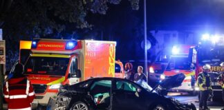 Für den Fahrer des Wagens kam jede Hilfe zu spät: Er starb noch am Unfallort