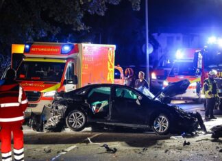 Für den Fahrer des Wagens kam jede Hilfe zu spät: Er starb noch am Unfallort