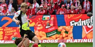 Daniel Svensson (l) erzielte das 1:0 für Borussia Dortmund gegen den FSV Mainz 05.