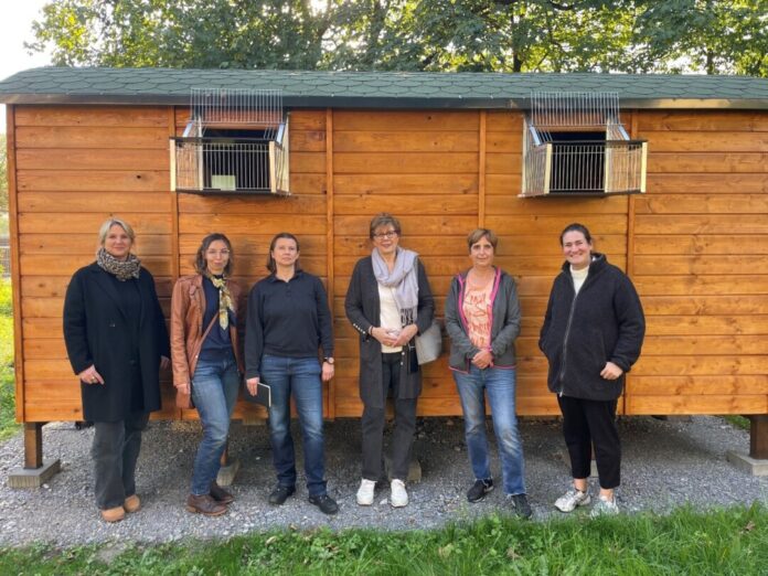 Über das neue Taubenhaus in Ratingen-Mitte freuen sich (v.l.n.r.) Pia Brinkmann, Miriam Klein, Kim Hützen (alle NABU Ratingen), Monika Piasetzky (Tierschutzverein Düsseldorf e.V.), Dagmar Binder (NABU Ratingen) und Julia Federer (Stadt Ratingen). Foto: Stadt Ratingen Über das neue Taubenhaus in Ratingen-Mitte freuen sich (v.l.n.r.) Pia Brinkmann, Miriam Klein, Kim Hützen (alle NABU Ratingen), Monika Piasetzky (Tierschutzverein Düsseldorf e.V.), Dagmar Binder (NABU Ratingen) und Julia Federer (Stadt Ratingen). Foto: Stadt Ratingen