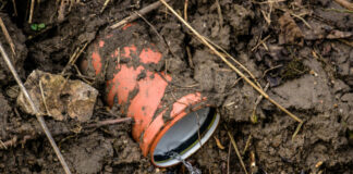 Bei der Sanierung von Leitungen sollte man einiges beachten - vor allem sollte man "Kanalhaien" nicht die Arbeit anvertrauen. Foto: VZ NRW/adpic