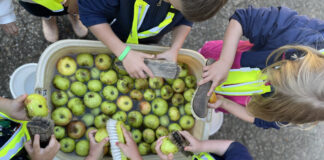 Naturnahe Aktionen: Kinder und Eltern können das Hofleben auf dem Mettmanner Landwirtschaftsbetrieb kennenlernen. Foto: privat