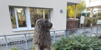 Neuer Platz für alten Löwen: Ein Stück Stadtgeschichte zieht um Hier wacht er nun, der kleine Ratinger Löwe am Dicken Turm, Bild: Ratinger Jonges