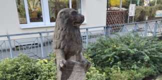 Nach fast 100 Jahren: Neuer Platz für alten Ratinger Löwen Der Löwe an seinem neuen Platz. Foto: Ratinger Jonges